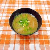 小松菜と新玉ねぎのお味噌汁